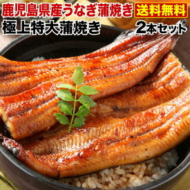 楽天市場 父の日 うなぎ 間に合うの通販