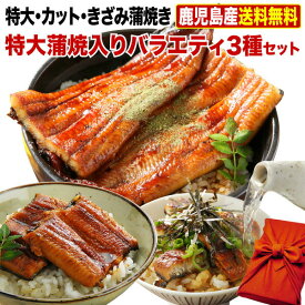 ＼6/2まで！超早得クーポン10％OFF ／ 父の日ギフト 父の日 プレゼント 国産 鹿児島産 ブランド鰻 特大・カット・きざみ蒲焼き 3種蒲焼セット 送料無料 ウナギ 国産 海鮮 クール