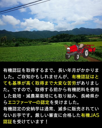 有機安納芋安納いもあんのう芋蜜芋五島列島オーガニックMLサイズA品3kg