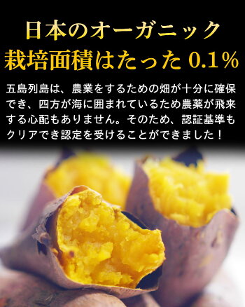 有機安納芋安納いもあんのう芋蜜芋五島列島オーガニックMLサイズA品3kg