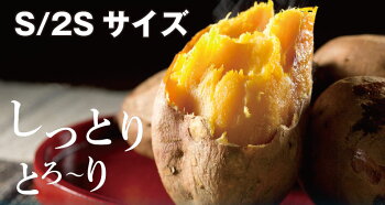 有機安納芋安納いもあんのう芋蜜芋五島列島オーガニックMLサイズA品3kg