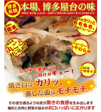 餃子送料無料冷凍ひと口サイズプレゼント博多流屋台の味屋台の味・博多一口餃子25個×5パック+タレ付カリッともちもち肉汁ギュー