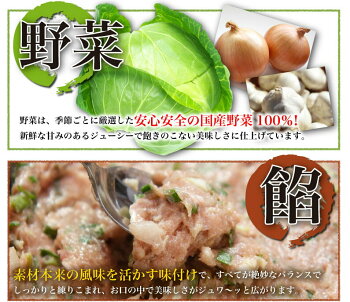 餃子送料無料冷凍ひと口サイズプレゼント博多流屋台の味屋台の味・博多一口餃子25個×5パック+タレ付カリッともちもち肉汁ギュー