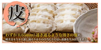餃子送料無料冷凍ひと口サイズプレゼント博多流屋台の味屋台の味・博多一口餃子25個×5パック+タレ付カリッともちもち肉汁ギュー