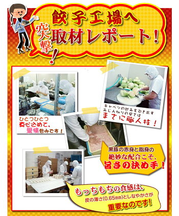 餃子送料無料冷凍ひと口サイズプレゼント博多流屋台の味屋台の味・博多一口餃子25個×5パック+タレ付カリッともちもち肉汁ギュー
