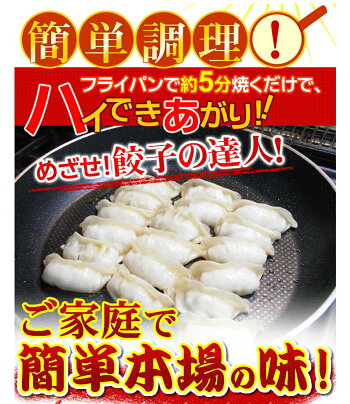 餃子送料無料冷凍ひと口サイズプレゼント博多流屋台の味屋台の味・博多一口餃子25個×5パック+タレ付カリッともちもち肉汁ギュー