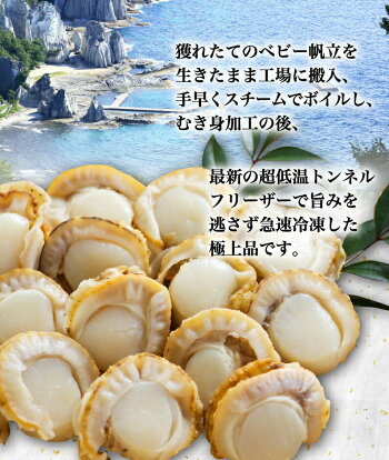 青森県陸奥湾産大粒ベビーホタテ(生食用)大粒2Lサイズ1kg(61〜80粒)食べごたえ抜群