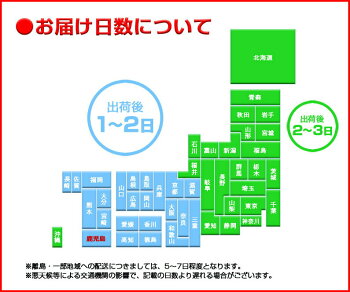 安納芋訳ありあんのういも安納いも(さつまいも)生芋種子島産産地直送プチ安納芋2kg2箱ご購入がお得ちびころ蜜芋2kg小さいサイズ予約開始