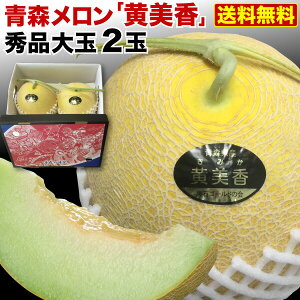青森県産 メロンの人気商品 通販 価格比較 価格 Com 青森県産 メロンの人気商品 通販 価格比較 価格 Com