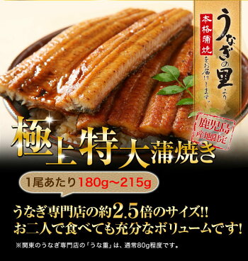 うなぎ蒲焼き国内産お中元丑の日特大蒲焼き(185g以上)きざみ2食鹿児島産風呂敷包み送料無料海鮮ギフトお誕生日内祝いプチギフトプレゼントタレ山椒お吸い物付(鰻ウナギ)