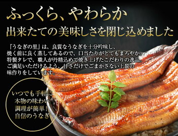 うなぎ蒲焼き国内産お中元丑の日特大蒲焼き(185g以上)きざみ2食鹿児島産風呂敷包み送料無料海鮮ギフトお誕生日内祝いプチギフトプレゼントタレ山椒お吸い物付(鰻ウナギ)