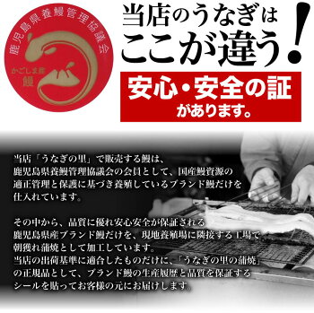 ご贈答に★うなぎ蒲焼き国産送料無料★お手頃価格!特大蒲焼き入り豪華な風呂敷包み『特』ギフトBOXセット!鹿児島産ブランド鰻!【『うなぎの里』風呂敷包み「特」セット!〔特大蒲焼き1本&きざみ蒲焼き2食〕(タレ山椒セット×2・お吸い物×4付き)】lucky5days