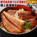 父の日プレゼント ギフト うなぎ グルメ 食べ物 蒲焼き ポイント5倍 国産 鹿児島産 長蒲焼き2本セット 約110g×2 うなぎの里 ギフト 昨年3万本完売実...
