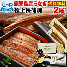 ＼6/2まで！超早得クーポン10％OFF ／ 父の日ギフト うなぎ 国産 父の日 ギフト 食べ物 グルメ 蒲焼き 鹿児島産 長蒲焼き2本セット 約110g×2 ギフトBOX特典付 送料無料 うなぎの里 プレゼント 昨年3万3千本完売 クール