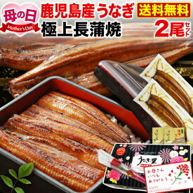 母の日遅れてごめんね プレゼント 母の日ギフト うなぎ 蒲焼き 国産 鹿児島産 長蒲焼き2本セット 約110g×2 ギフトBOX特典付き 送料無料 うなぎの里 累計39万本完売実績！鹿児島薩摩うなぎ完売実績 クール