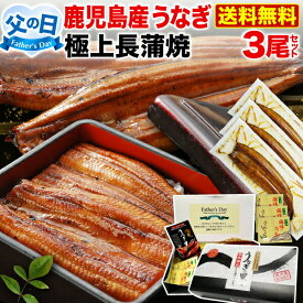 ＼6/2まで！超早得クーポン10％OFF ／ 父の日ギフト 父の日 プレゼント 蒲焼き 国産 鹿児島産 長蒲焼き3本セット 約110g×3 ギフトBOX特典付き プレゼント 送料無料 うなぎの里 クール