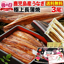 ＼4/28まで！超早得クーポン10％OFF ／ 母の日 プレゼント 母の日ギフト うなぎ 蒲焼き 国産 鹿児島産 送料無料 長焼き3本セット 約110g×3 うなぎの里 （鰻　ウナギ） クール