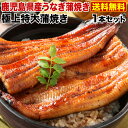 父の日プレゼント ギフト うなぎ 蒲焼き 国内産 送料無料 特大蒲焼き(185g以上) 鹿児島産 海鮮 お誕生日 内祝い プチギフト プレゼント ギフト タレ山...