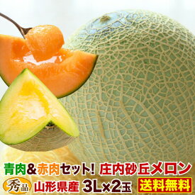 早期予約 お中元 ギフト 果物 フルーツ メロン 山形県産　庄内砂丘メロン　秀品3L玉×2個(約2.5kg)　青肉 アンデスメロン グレース アニバーサリー 赤肉 クインシー ルピアレッド マリアージュ セット お供え 産地直送 Y常