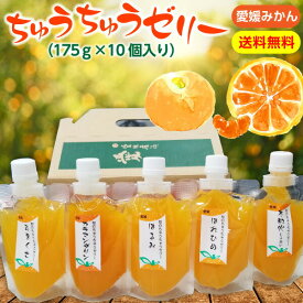 楽天市場 愛媛 みかんの通販 楽天市場 愛媛 みかんの通販