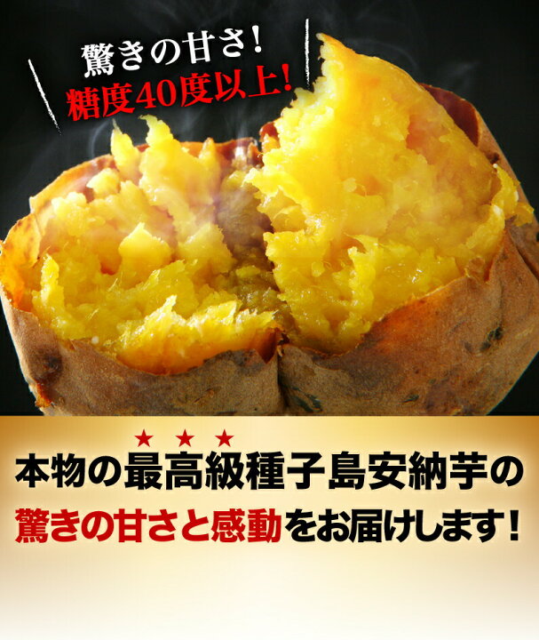 楽天市場】早割 さつまいも 安納芋 鹿児島 種子島産 生芋 糖度40度 中園ファームの熟成プレミア安納芋 ML 5kg ギフト 焼き芋にして冷凍保存OK 産地直送 送料無料 S常 : くいしんぼうグルメ便 楽天市場】早割 さつまいも 安納芋 鹿児島 種子島産 生芋 糖度40度 中園ファームの熟成プレミア安納芋 ML 5kg ギフト 焼き芋にして冷凍保存OK 産地直送 送料無料 S常 : くいしんぼうグルメ便
