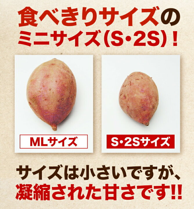 楽天市場】早割 さつまいも 安納芋 鹿児島 種子島産 生芋 糖度40度 中園ファームの熟成プレミア安納芋 S-2S 5kg ギフト 焼き芋にして冷凍保存OK 産地直送 送料無料 S常 : くいしんぼうグルメ便 楽天市場】早割 さつまいも 安納芋 鹿児島 種子島産 生芋 糖度40度 中園ファームの熟成プレミア安納芋 S-2S 5kg ギフト 焼き芋にして冷凍保存OK 産地直送 送料無料 S常 : くいしんぼうグルメ便