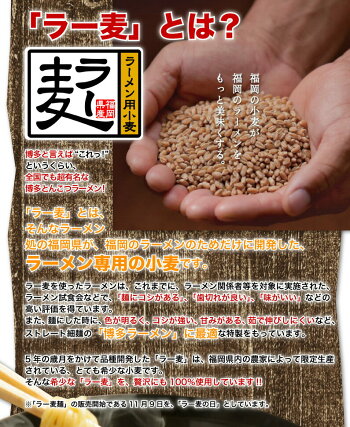 ラーメン送料無料メール便博多らーめんとんこつ熱々のどんぶりで食べる博多純情とんこつラーメン6食半生麺ラー麦メール便