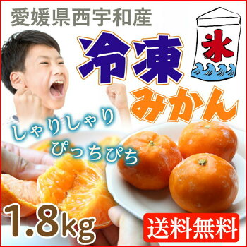 サッパリ冷たい!クール便送料無料◆【愛媛産★八協ブランドみかん1.8kg★送料無料】【RCP】