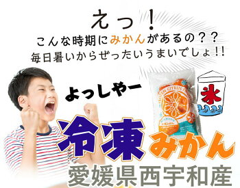極甘さっぱり冷凍みかん600gx3袋【愛媛県産八協ブランドみかん1.8kg送料無料】甘味濃縮なつかしの冷凍みかん!