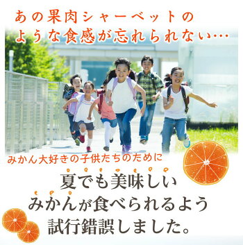 極甘さっぱり冷凍みかん600gx3袋【愛媛県産八協ブランドみかん1.8kg送料無料】甘味濃縮なつかしの冷凍みかん!