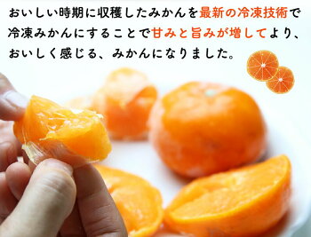 極甘さっぱり冷凍みかん600gx3袋【愛媛県産八協ブランドみかん1.8kg送料無料】甘味濃縮なつかしの冷凍みかん!
