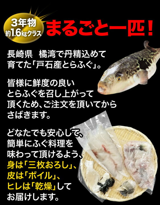楽天市場 ギフト 海鮮 国産 活とらふぐ身欠き 1尾 800g前後 5 6人前 長崎 戸石 ポン酢 もみじおろし付 テッサ 刺身 鍋 しゃぶしゃぶ からあげ 雑炊 ヒレ酒 送料別 クール便 産地直送 くいしんぼうグルメ便 楽天市場 ギフト 海鮮 国産 活とらふぐ身欠き 1尾 800g前後 5 6人前 長崎 戸石 ポン酢 もみじおろし付 テッサ 刺身 鍋 しゃぶしゃぶ からあげ 雑炊 ヒレ酒 送料別 クール便 産地直送 くいしんぼうグルメ便