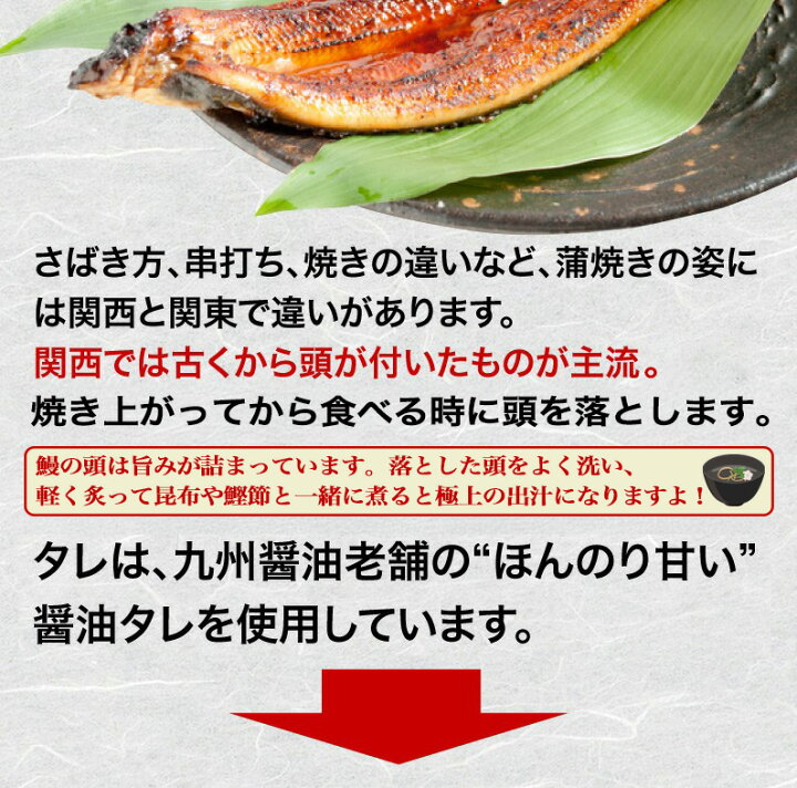 お中元 直送便 3尾 養殖 クール便 無頭炭火手焼うなぎ蒲焼 冷凍 九州産 6月15日 7月30日の発送となります