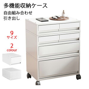 [P[X o [{bNX LX^[t N[[bgVXe ςݏd ߑP[X  Lrlbg ^X o Rgݍ킹   vX`bN q m