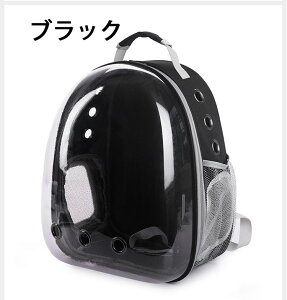 ŐV^ L  L[ bN ybgL[ bN obO L bN L[obO bN ybgL[ bN L  L[ O[ Lp ^Ep 