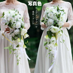 23*55cm u[P  EFfBO KN /uC_u[P/gXu[P ԁEEFfBOu[PEuC_u[PEEGfBOu[PEu[Pzԉ ʐ^B  j 