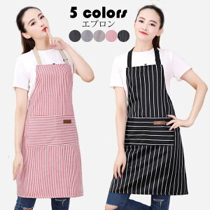 Gv jp  [N |Gv Vv |Pbgt \ h d Ǝ Lb`p   JtF 킢  5F