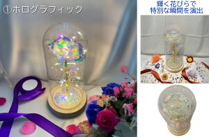 KXh[ KN [YCg ԃCg ͂Ȃ o Mtg v[g j LED dr o^C ̓ hV a  LO NX}X ޏ  wj 蕨 t