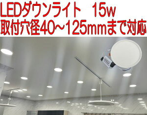 y܂Ƃߔ劽}z_ECg LEDplCg 15W t(Ja40mm`125mm܂Œ) dF(3000k)/F(6500k)ߍݎ ^ ȃGlE gF/F Ɩ _CjO 