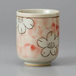 ԔZiԁj6×8cm 180ccH@Y  { Z aH ϕ M hg@Ă@@t@VՂ@fU[g@i