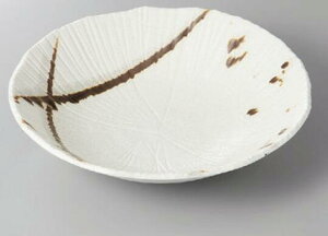 F唫 24×22.5×5.5H@Y  { Z JtFH aH aJtF 傫@蔫 ϕ@@@ł@ Vv ͂