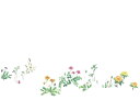 雲龍和紙テーブルマット春の花1（100枚入）38×26cm
