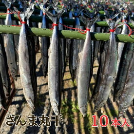 さんまの丸干し 10本 干物 セット さんま干物 さんま 丸干 詰め合わせ 秋刀魚 サンマ 魚 おかず 酒の肴 お取り寄せ グルメ 三重 尾鷲 産地直送 浜千商店 紀州製法 送料無料