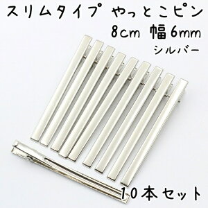 XƂs 10{Zbg 48mm`80mm S3TCY S3F wANbv xr[Nbv ׂ  nhCh | p[c ANZT[ wAANZT[ Vv   ޗ w