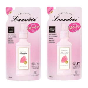 yʌzh TN 2025 lߑւ 480ml×2Zbg _ t[n ̍ t lC 蒷 ߗރPA ꒅΉ _dグ 