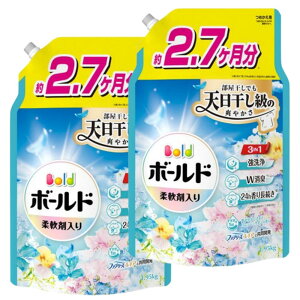 _ʌ^܂tIy2Zbg eʁz{[hWF _ܓ t̐ tbVT{ lւ KW{ 1950g×2 PG 