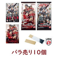 【バラ売り 10個】 JAPAN NATIONAL VOLLEYBALL TEAM 男子日本代表ver. ツインウエハース 2026 男子バレー