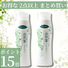 【7/15 むすびの日 7％OFFクーポン発行中】 【ポイント15倍】【 まとめ買い 2点 以上】 自然葉シャンプー グリーンノート 300ml シャンプー 無添加シャンプー アミノ酸 ノンシリコンシャンプー リンス不要 シャンプー ノンケミカル アミノ酸シャンプー 無香料 無添加 天然