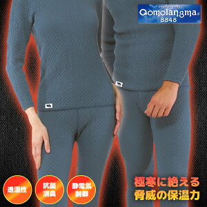 Ђ܂ `} ( M L LL ) TsE am  Ci[  ێVc V`} amp h  ێVc Y h Ci[  L R  Vc ~ 