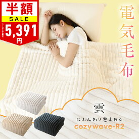 クーポンで最安5,391円～【2025年新発売】楽天1位 ふわとろ毛布 電気毛布 掛け敷き ブランケット ふわふわ 毛布 ポコポコ 洗える モコモコブランケット 電気ひざ掛け 肩掛け 膝掛け 敷き 電気ブランケット 毛布収納 シングル ダブル 厚手 防寒対策 クリスマス